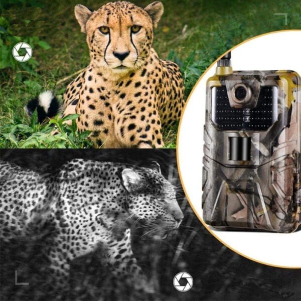 1010015412_4 (1) 1010015412_4 (1)