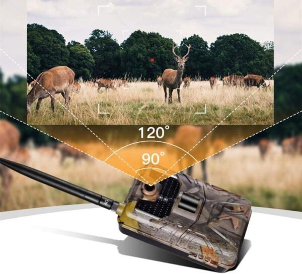 1010015412_5 (1) 1010015412_5 (1)